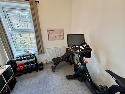 Picture 15